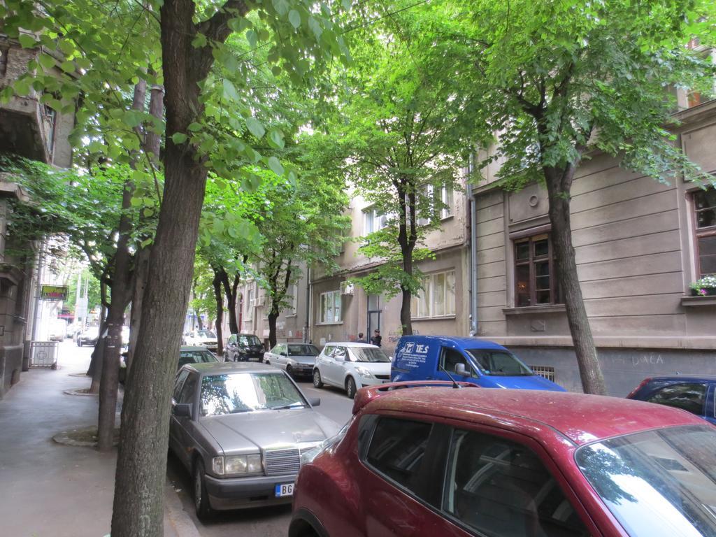 Sneki Apartment Belgrad Zewnętrze zdjęcie
